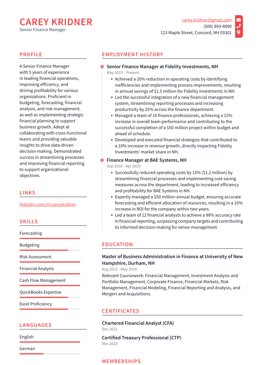 Senior Finance Manager Resume Example