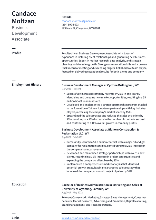 Snapchat Business Development Associate Resume Example