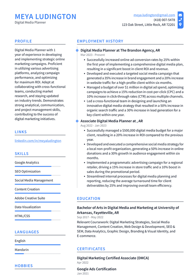 Snapchat Digital Media Planner Resume Example