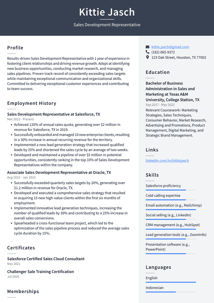 Snapchat Sales Development Representative Resume Examples