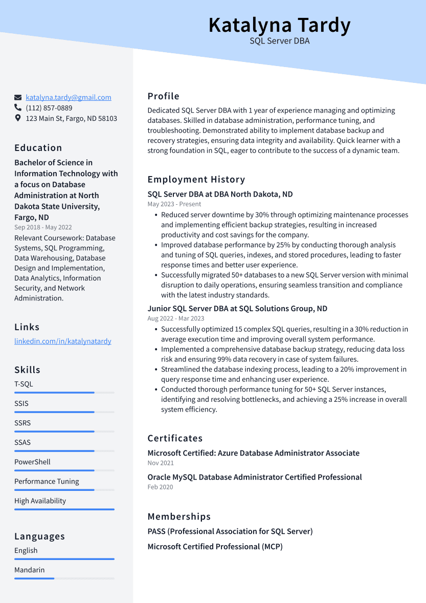 SQL Server DBA Resume Example