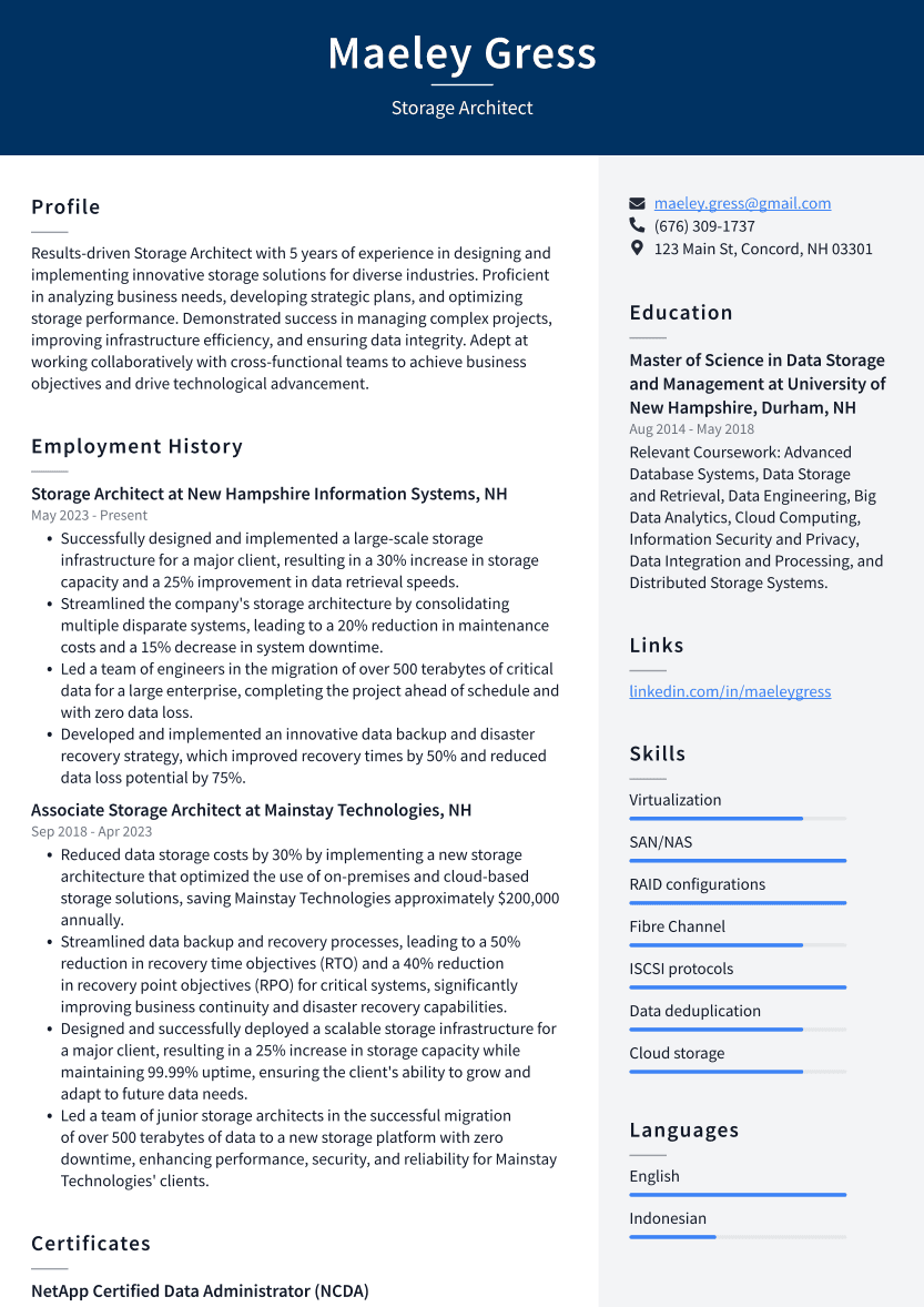 Storage Architect Resume Example