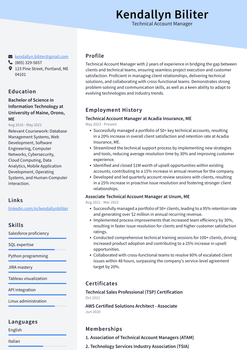 Technical Account Manager Resume Example