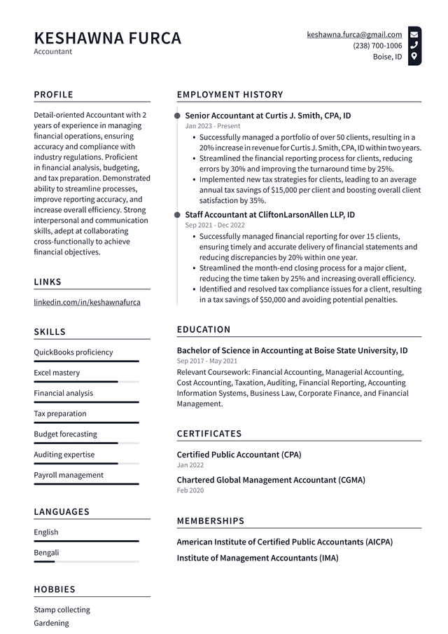 Tesla Accountant Resume Example