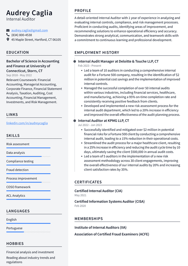 Tesla Internal Auditor Resume Example