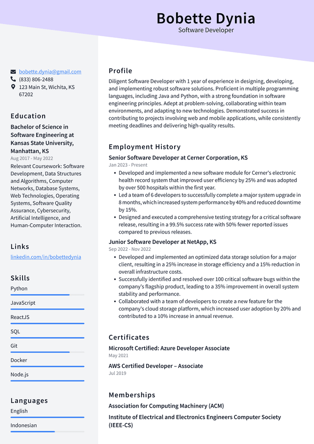 Tesla Software Developer Resume Examples | ResumeCat