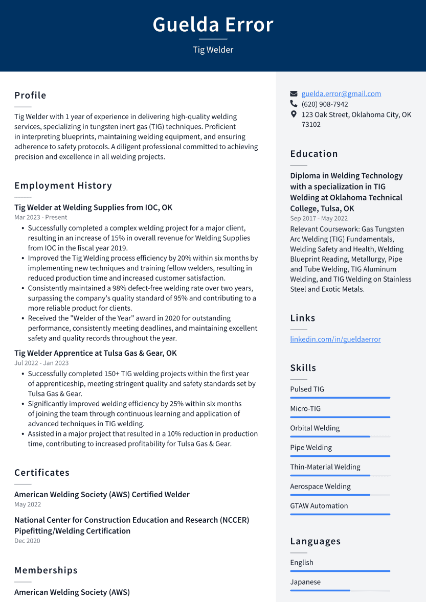 Tig Welder Resume Example