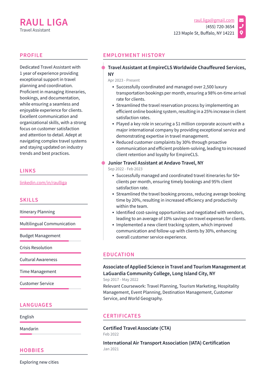 Travel Assistant Resume Example