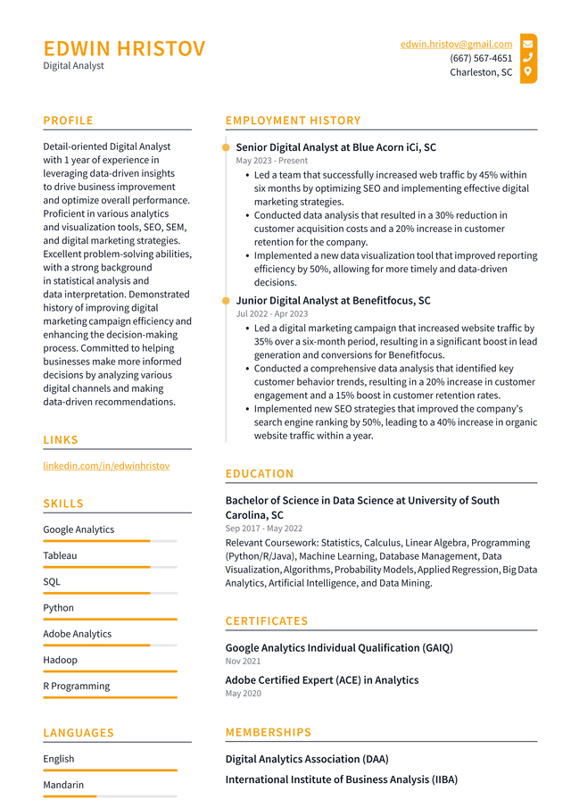 Twitter Digital Analyst Resume Example