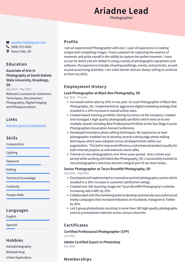 Walmart Photographer Resume Example