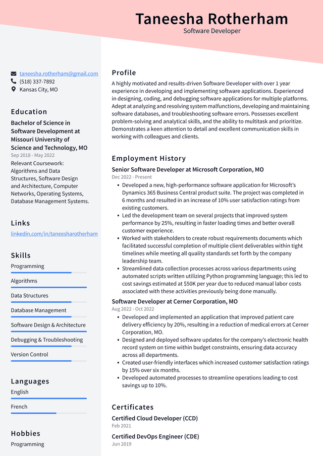 Walmart Software Developer Resume Example