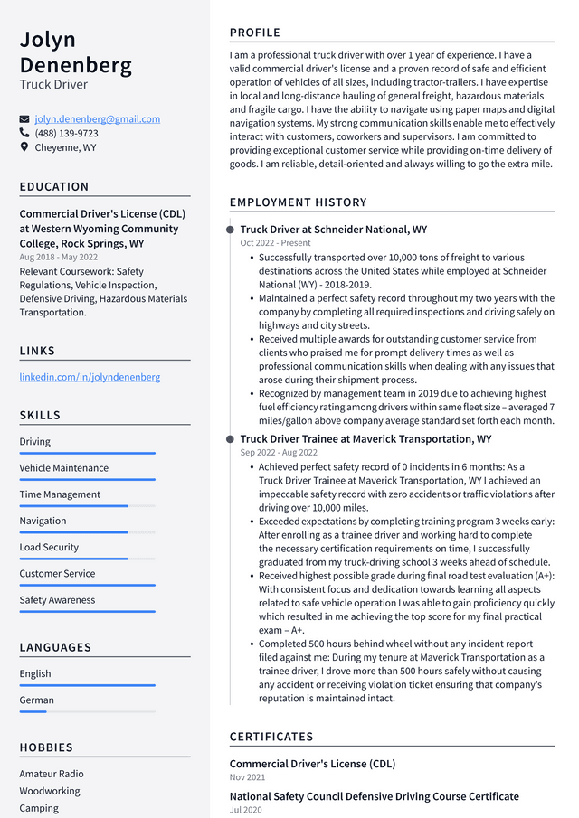 Walmart Truck Driver Resume Example