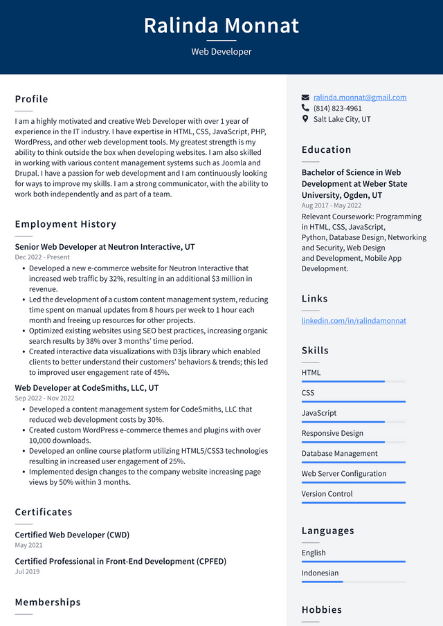 Walmart Web Developer Resume Example