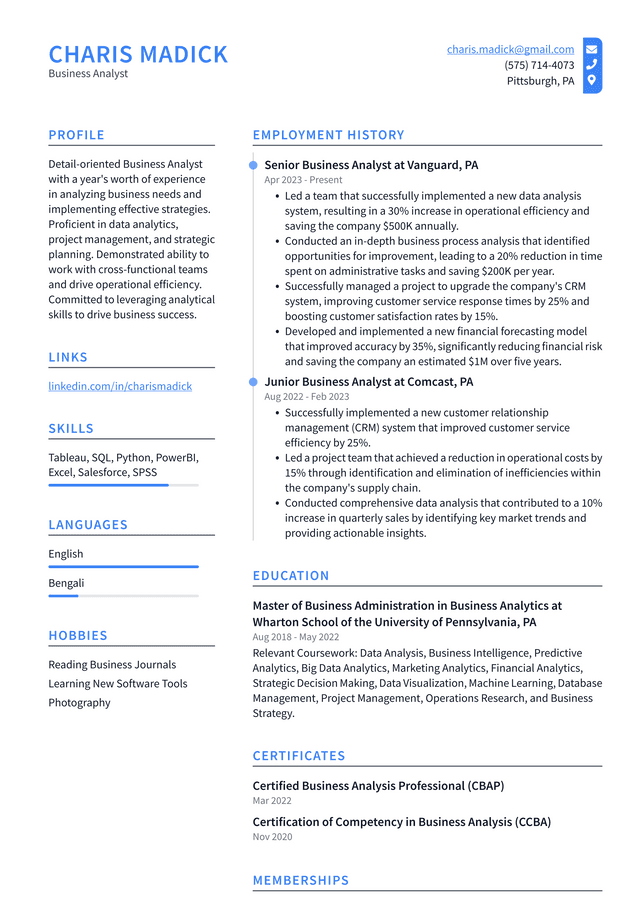 Zoom Business Analyst Resume Example