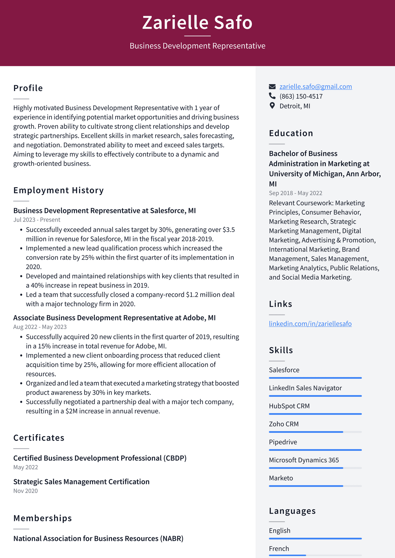 Zoom Business Development Representative Resume Examples