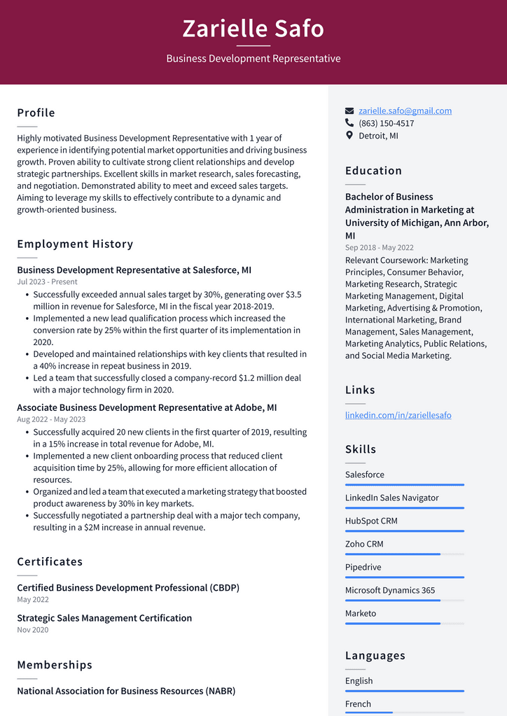 Zoom Business Development Representative Resume Examples