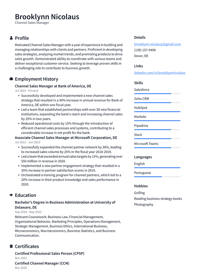 Zoom Channel Sales Manager Resume Example