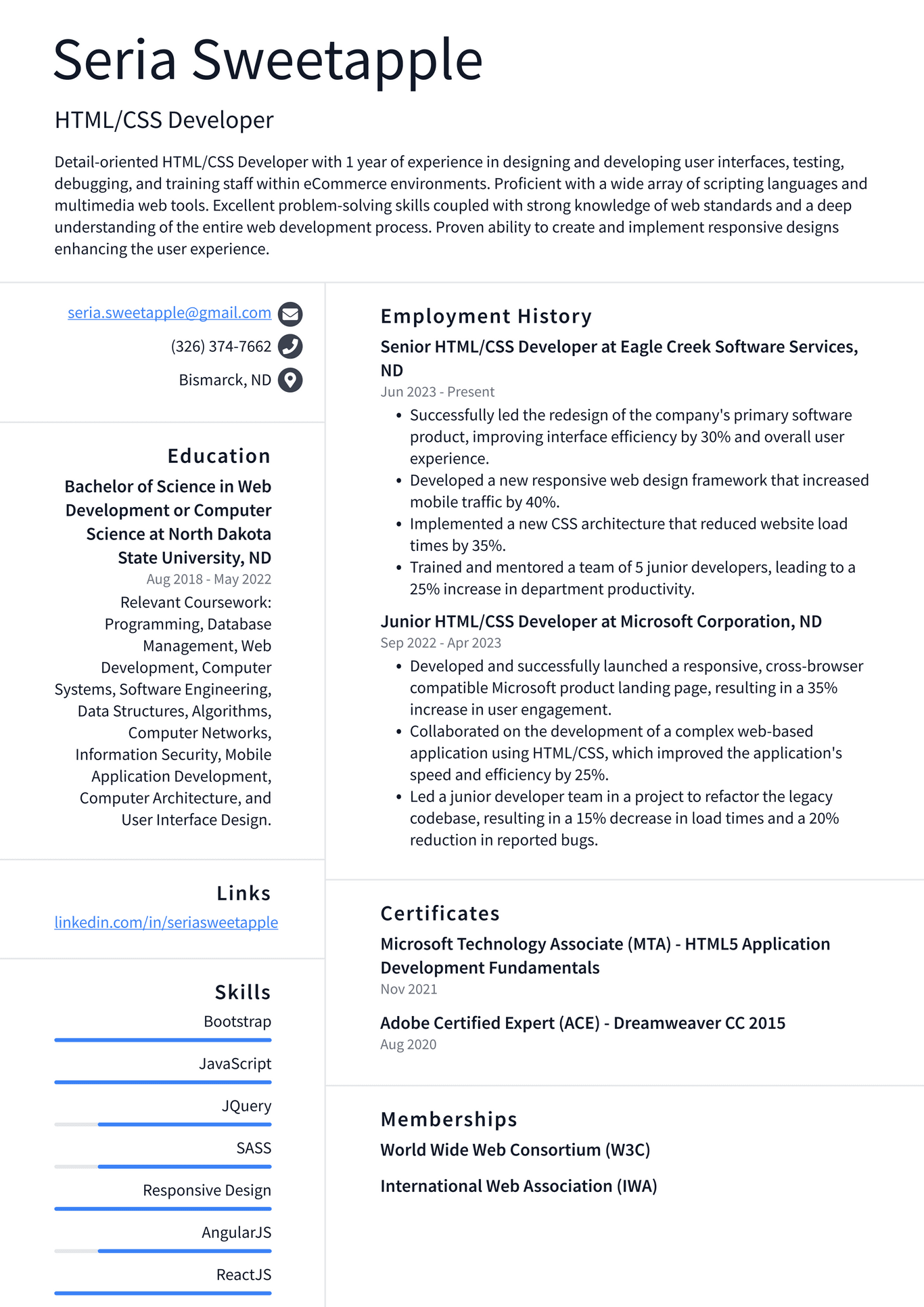 Zoom HTML/CSS Developer Resume Examples | ResumeCat