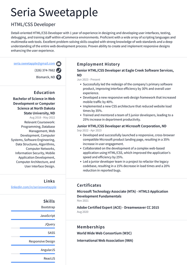 Zoom HTML/CSS Developer Resume Example