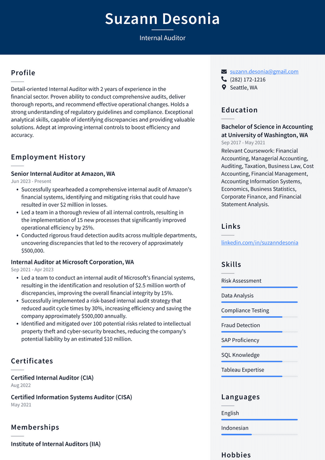 Zoom Internal Auditor Resume Example