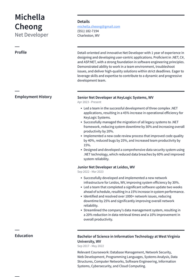 Zoom Net Developer Resume Example