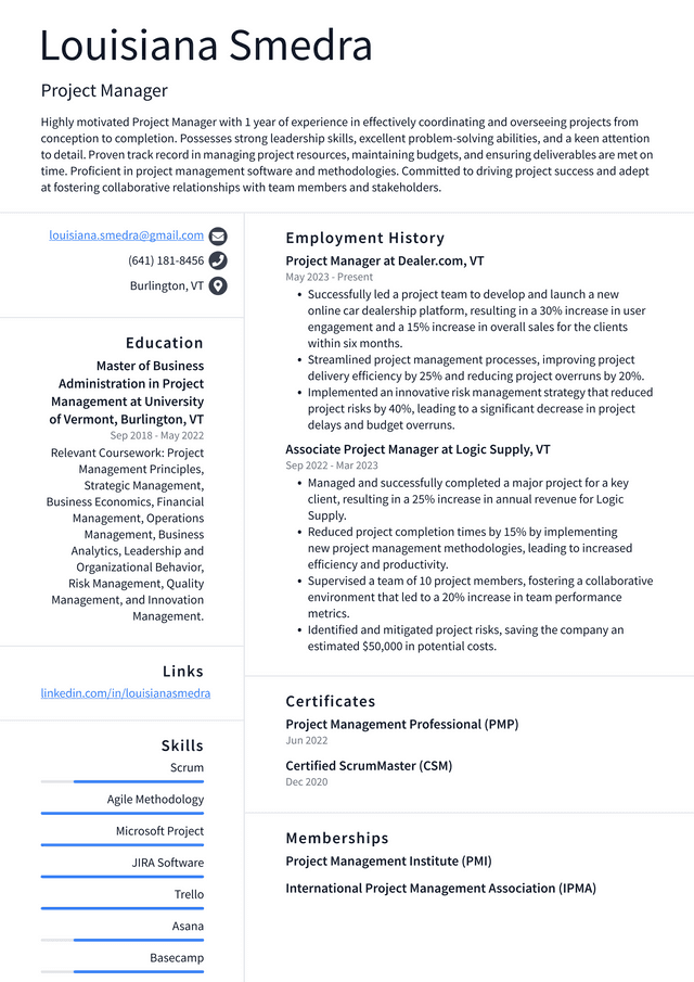 Zoom Project Manager Resume Example