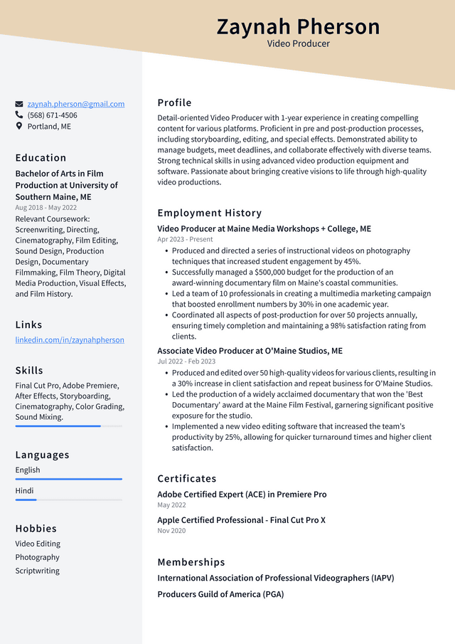 Zoom Video Producer Resume Example