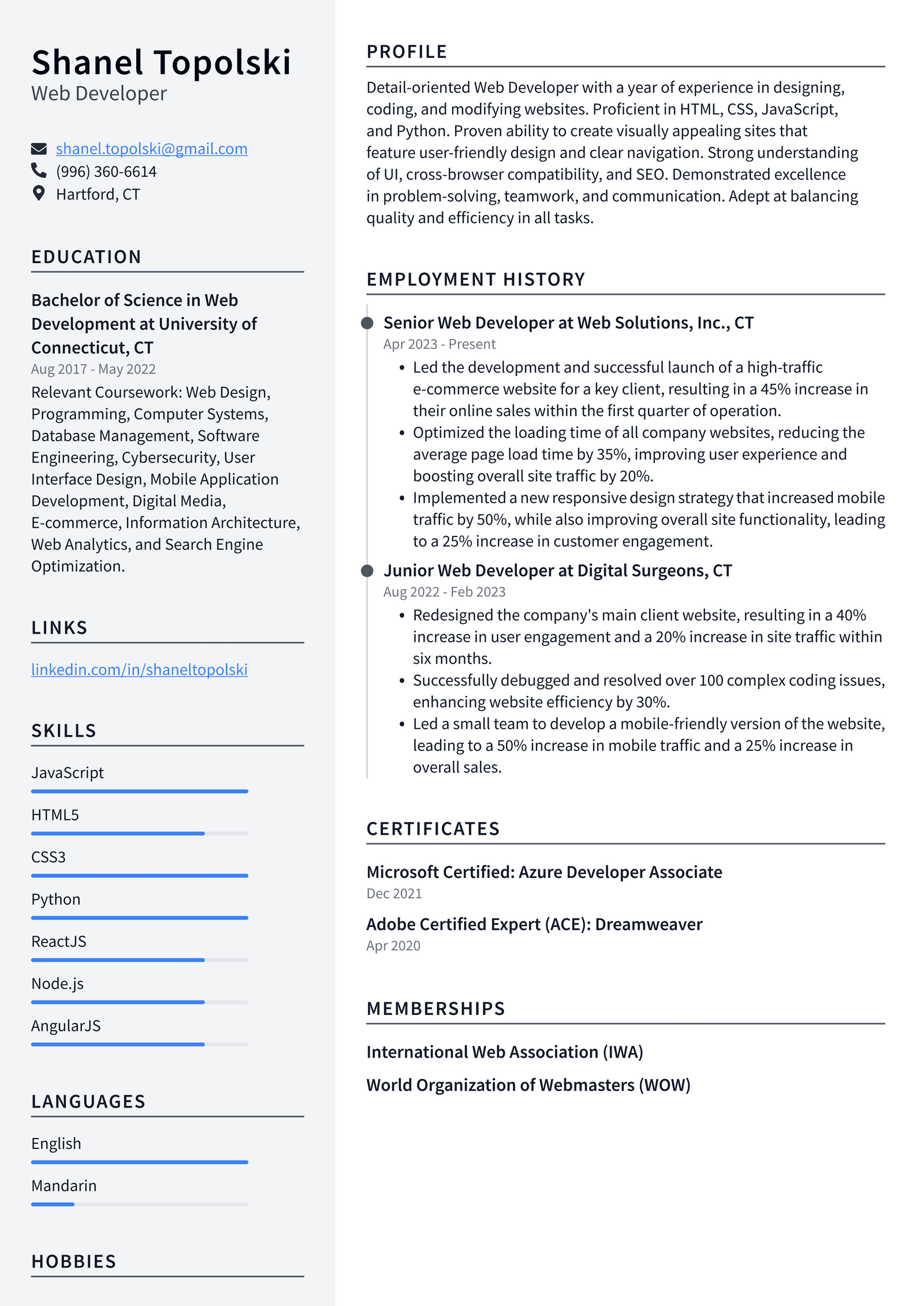 Zoom Web Developer Resume Examples | ResumeCat