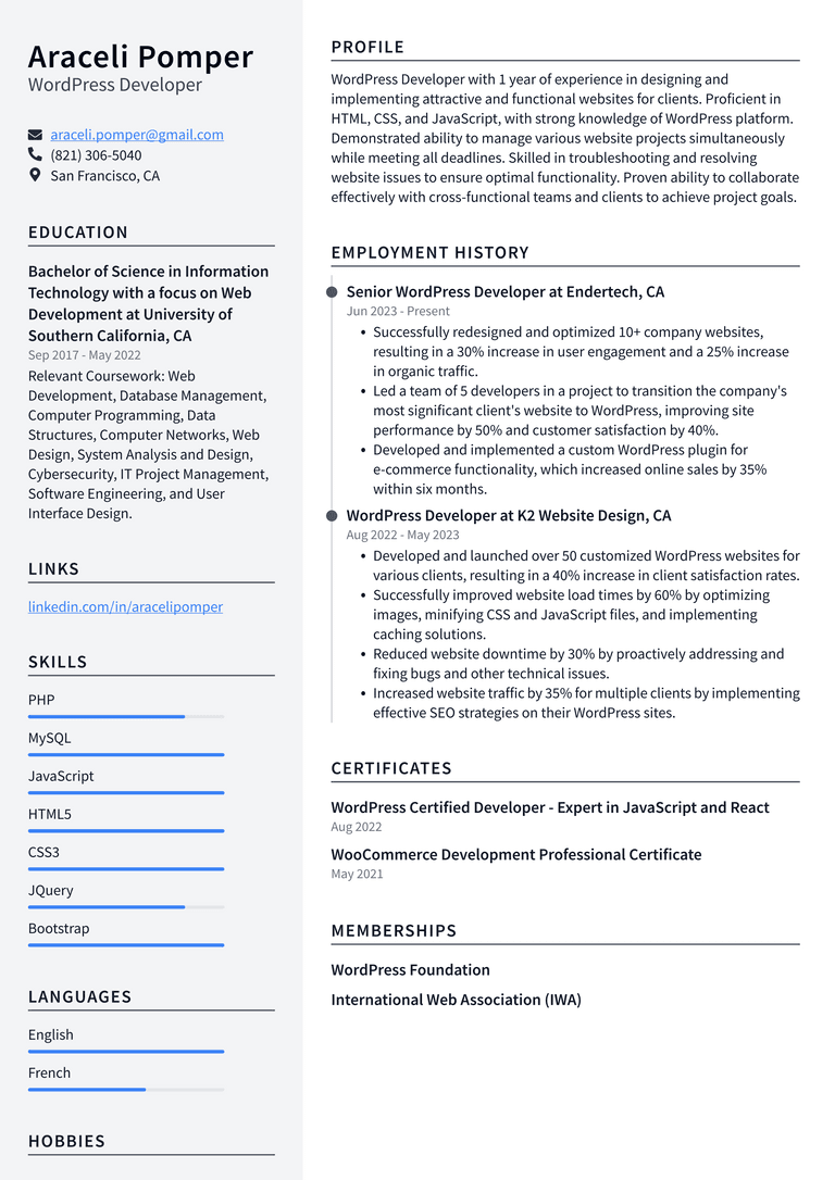 Zoom WordPress Developer Resume Examples | ResumeCat