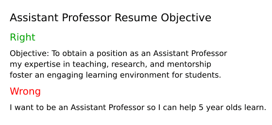 Top 18 Assistant Professor Resume Objective Examples