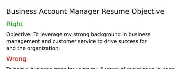 Top 16 Business Account Manager Resume Objective Examples