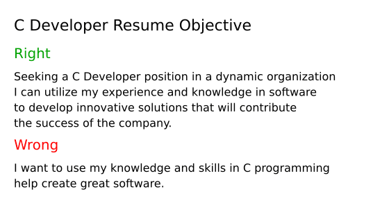 C Developer Resume Objective Example
