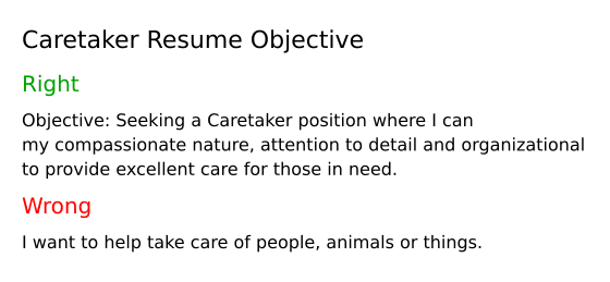 Caretaker Resume Objective Example