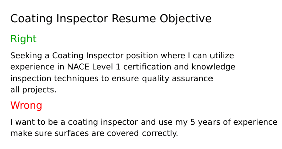 Top 16 Coating Inspector Resume Objective Examples