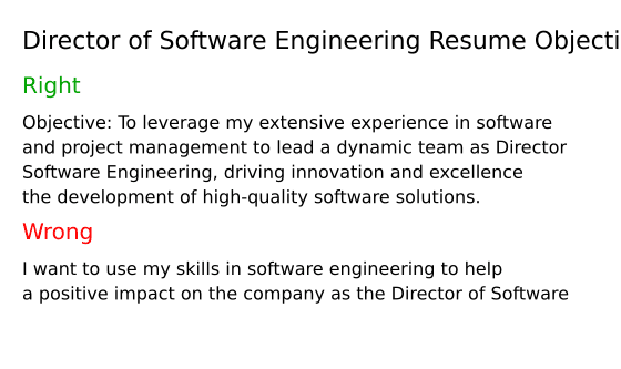 Top 16 Director of Software Engineering - Director Of Software Engineering Resume Objective F8cyn