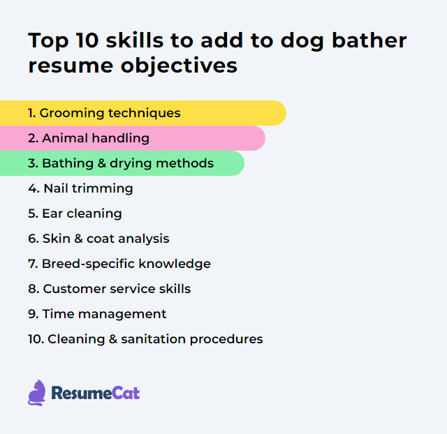 Top 17 Dog Bather Resume Objective Examples ResumeCat