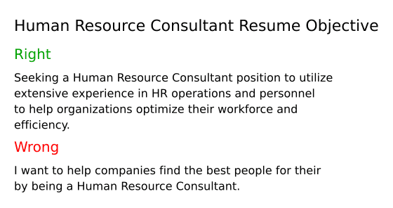 Top 17 Human Resource Consultant - Human Resource Consultant Resume Objective B8dS9 