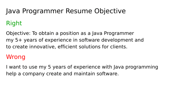 Top 17 Java Programmer Resume Objective Examples | ResumeCat