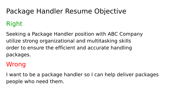 Top 17 Package Handler Resume Objective - Package Handler Resume Objective 3TzBr 