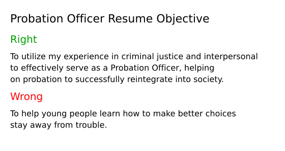 Top 16 Probation Officer Resume - Probation Officer Resume Objective 7LmX6 