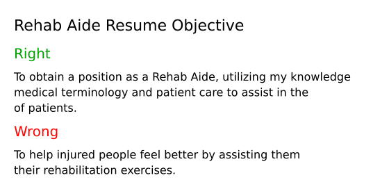 Rehab Aide Resume Objective Example