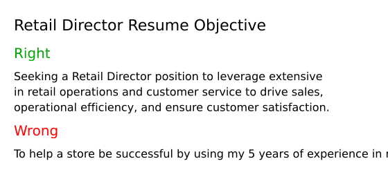 Top 18 Retail Director Resume Objective - Retail Director Resume Objective AwMkl