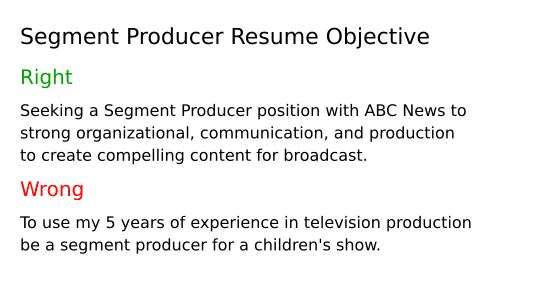 Top 18 Segment Producer Resume Objective Examples