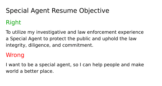 Special Agent Resume Objective Example