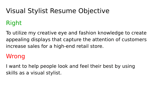 Top 18 Visual Stylist Resume Objective Examples | ResumeCat