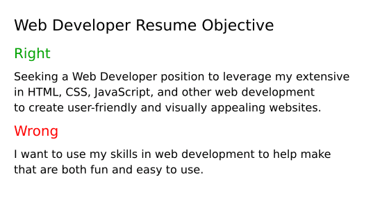 Top 17 Web Developer Resume Objective Examples | ResumeCat