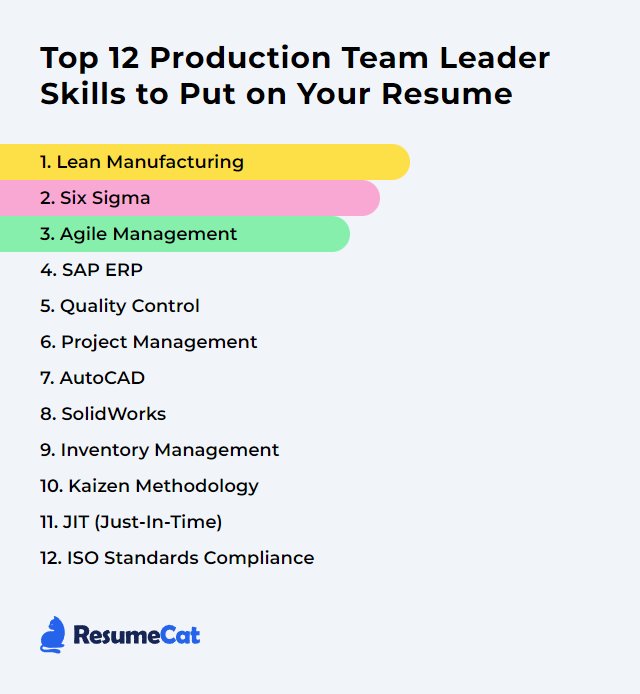 Top 12 Production Team Leader Skills to Put on Your Resume